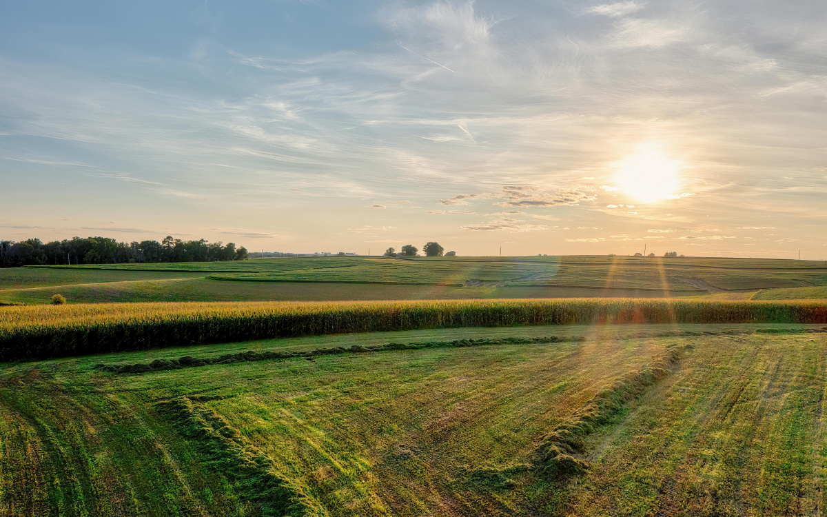 Missouri Land Loans Explained: Raw, Improved, and USDA/FSA Options